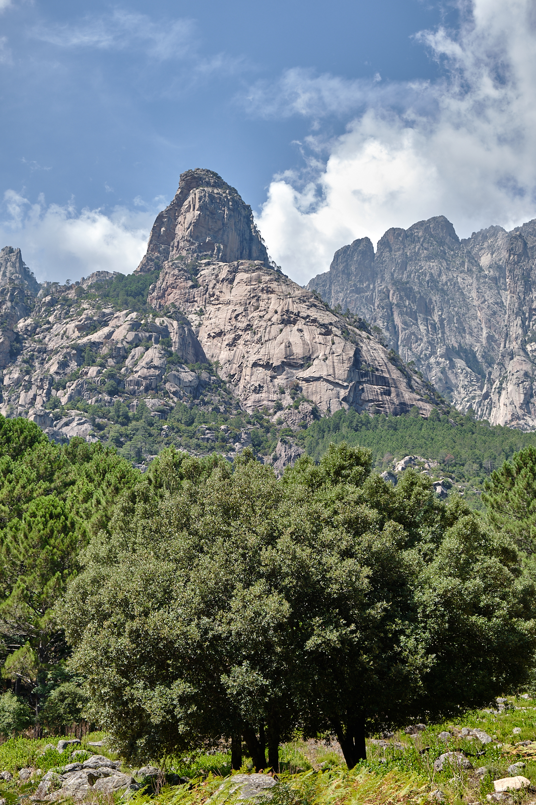 Alta Roca Alta Rocca – Claude Rohou